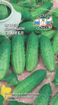 Огурец Ангел F1 0,3г (Седек)