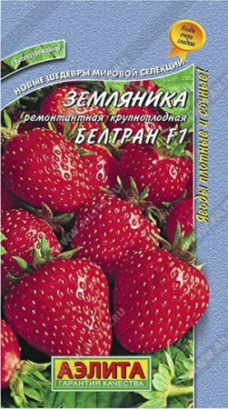 Земляника Белтран F1 ремонтантная 5шт (Аэлита)
