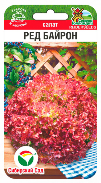 Салат Ред Байрон 20шт (Сиб Сад)