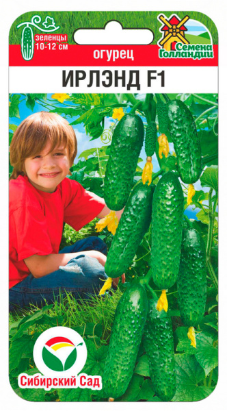 Огурец Ирлэнд F1 5шт (Сиб Сад)