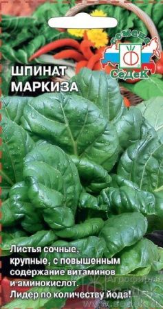Шпинат Маркиза 2г (Седек)