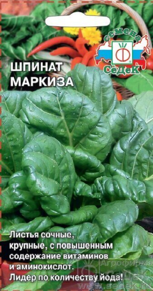 Шпинат Маркиза 2г (Седек)