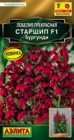 Лобелия Старшип бургунди F1 многолетник 5шт (Аэлита) Лобелия Старшип бургунди F1 многолетник 5шт (Аэлита)
