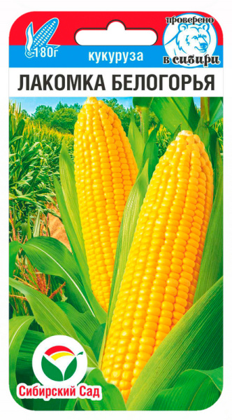 Кукуруза Лакомка Белогорья 6шт (Сиб Сад)
