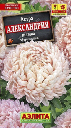 Астра Александрия Шамоа 0,1г (Аэлита)