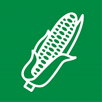 Кукуруза Кукуруза