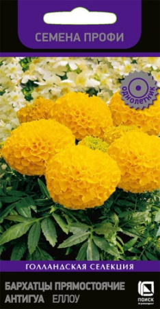 Бархатцы Антигуа Еллоу ПРОФИ однолетник 15шт (Поиск) Бархатцы Антигуа Еллоу ПРОФИ однолетник 15шт (Поиск)