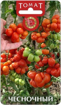 Томат Чесночный 20шт (Биотехника)