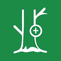 Вар садовый Вар садовый