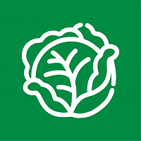 Капуста Капуста