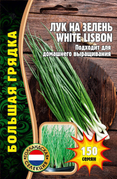 Лук на зелень Лиссабонский белый Большая грядка 150шт (Ред.Сем)