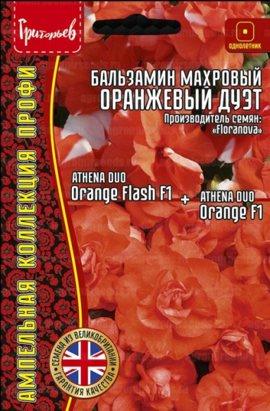 Бальзамин Уоллера Athena Оранжевый дуэт F1 ампельный однолетник 4шт (Ред.Сем)