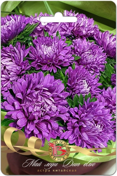 Астра МАЙ ЛЕДИ Дип Блю однолетник 30шт (Биотехника)