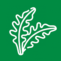 Капуста японская