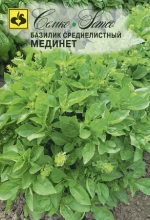 Базилик Мединет 1г (Семко)