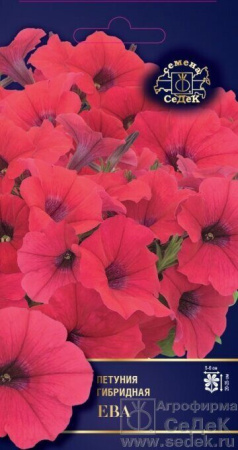 Петуния Ева F1 многоцветковая 5шт (Седек)