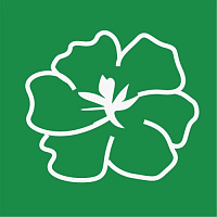 Бальзамин Бальзамин