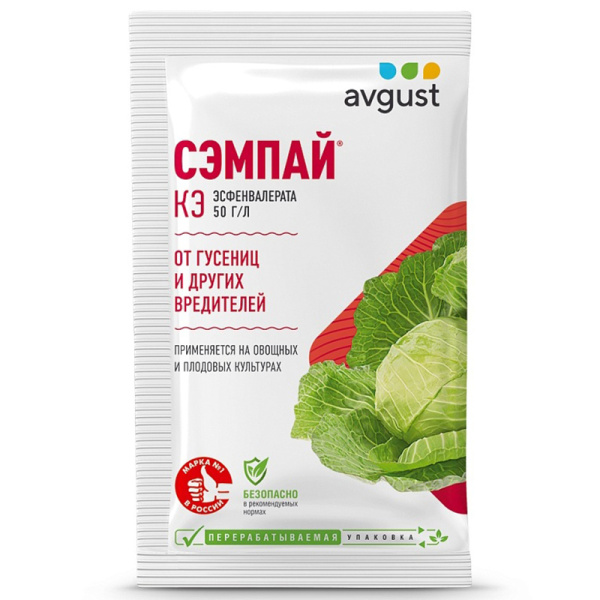 Сэмпай 5мл (Август)(200шт)