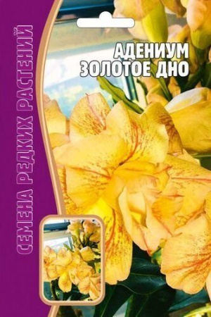 Адениум Золотое Дно 3шт (Ред.Сем) Адениум Золотое Дно 3шт (Ред.Сем)