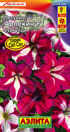 Петуния Арлекин Бургунди F1 5шт (Аэлита)