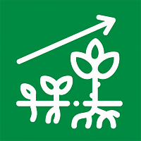 Стимуляторы Стимуляторы