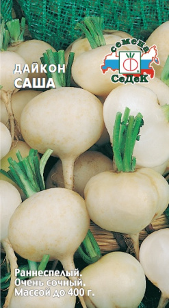 Дайкон Саша 1г (Седек)