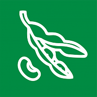 Бобы Бобы